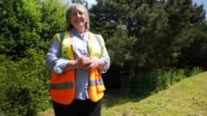 City to be covered by 'urban forest' within decade